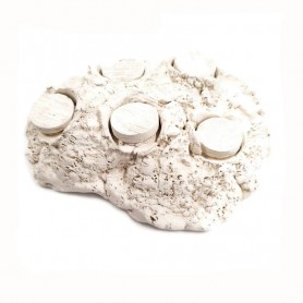 SUPPORT A BOUTURES - 5 plugs