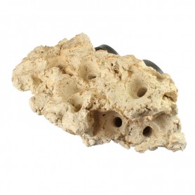 SUPPORT A BOUTURES AIMANTE - Tunze Coral rack long 0104.820