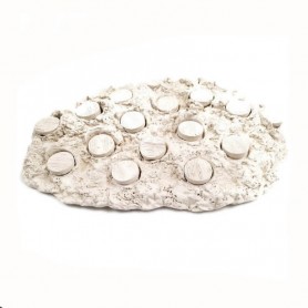 SUPPORT A BOUTURES - 20 plugs