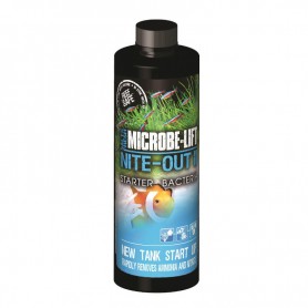 MICROBE LIFT – bactéries de démarrage – nite out II – 473ml