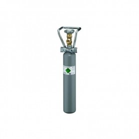 Recharge CO² – 500 g