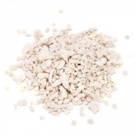 Morceaux de coraux – 10-29mm – pour RAC