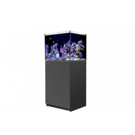 RED SEA - Reefer G2  - 170 - meuble noir