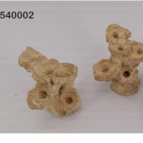 AQUAROCHE – Zoa Garden Rock –  Mini 540002 - 5 plugs