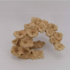 AQUAROCHE – Zoa Garden Rock – Arche courbe 540005 - 15 plugs