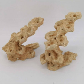 AQUAROCHE – Zoa Garden Rock – Arche 540006- 12 plugs