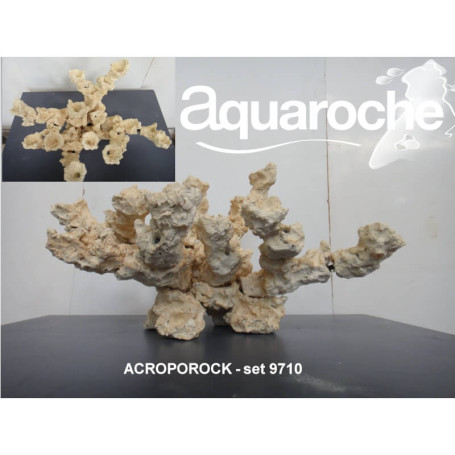 Acroporock 9710 - kit 15 pièces - env. 60x35x35cm