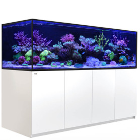 RED SEA – Reefer-S 1000 deluxe - (3 reefled 160S) meuble blanc