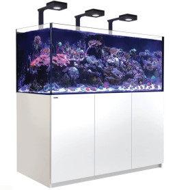 RED SEA - Reefer - 625 G2 - deluxe (3 reefled 90) - meuble blanc