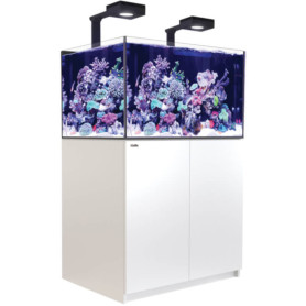 RED SEA - Reefer 300 G2 - deluxe - meuble blanc