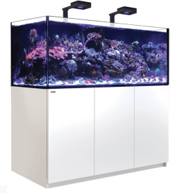 RED SEA - Reefer - 625 G2 - deluxe (2 reefled 160S) - meuble blanc