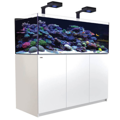RED SEA - Reefer 525 G2 - deluxe (2 reefled 160) - meuble blanc