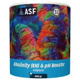 Alkalinity et ph Booster en poudre - 1kg