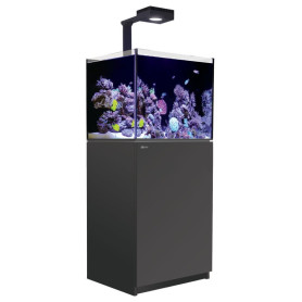 RED SEA – Reefer 200 G2+ - Deluxe (1 RL 90 + 1 potence) - meuble noir