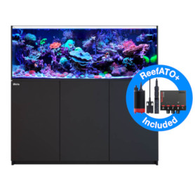 RED SEA - Reefer - 625 G2+ - Deluxe (2 RL 160S + 2 potences) - meuble noir