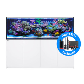 RED SEA – Reefer - 900 G2+ - Deluxe (3 reefled 160) - meuble blanc