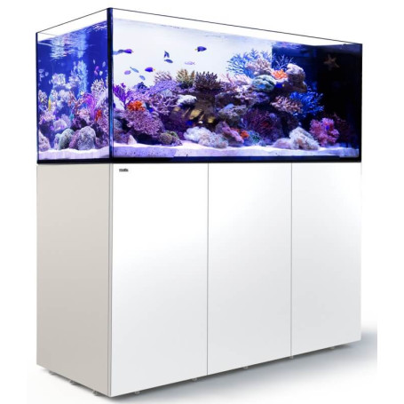 RED SEA – Reefer Peninsula S 950 G2+ - Blanc