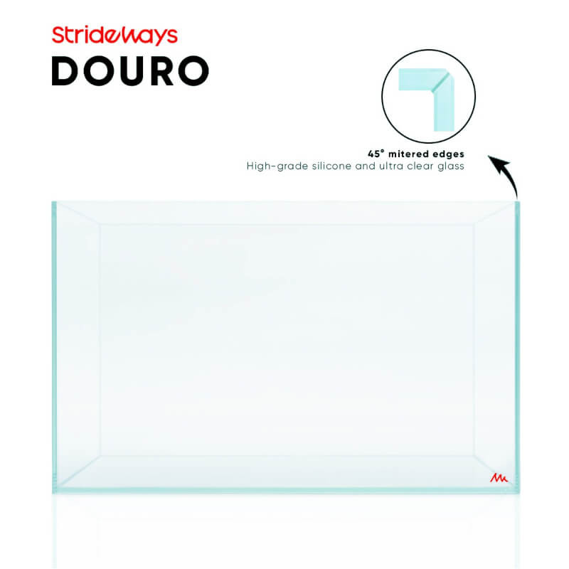 Cuve - DOURO - 36P