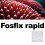 Résine anti phosphates - fosfix rapid - 1 L