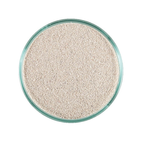 SABLE VIVANT - Caribsea - ocean direct - oolite - 2.27 kg - (fin)