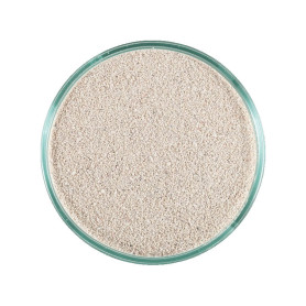 SABLE VIVANT - Caribsea - ocean direct - oolite - 9,07kg - (fin)