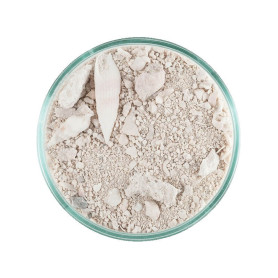 SABLE VIVANT - Caribsea - ocean direct - original grade - 9.07 kg - (de fin à grossier)