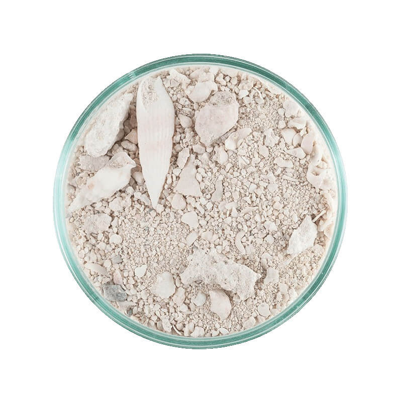 SABLE VIVANT - Caribsea - ocean direct - original grade - 9.07 kg - (de fin à grossier)