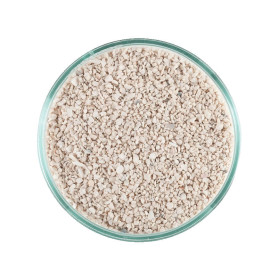 SABLE VIVANT - Caribsea - ocean direct - special grade - 9,07kg (taille moyenne)