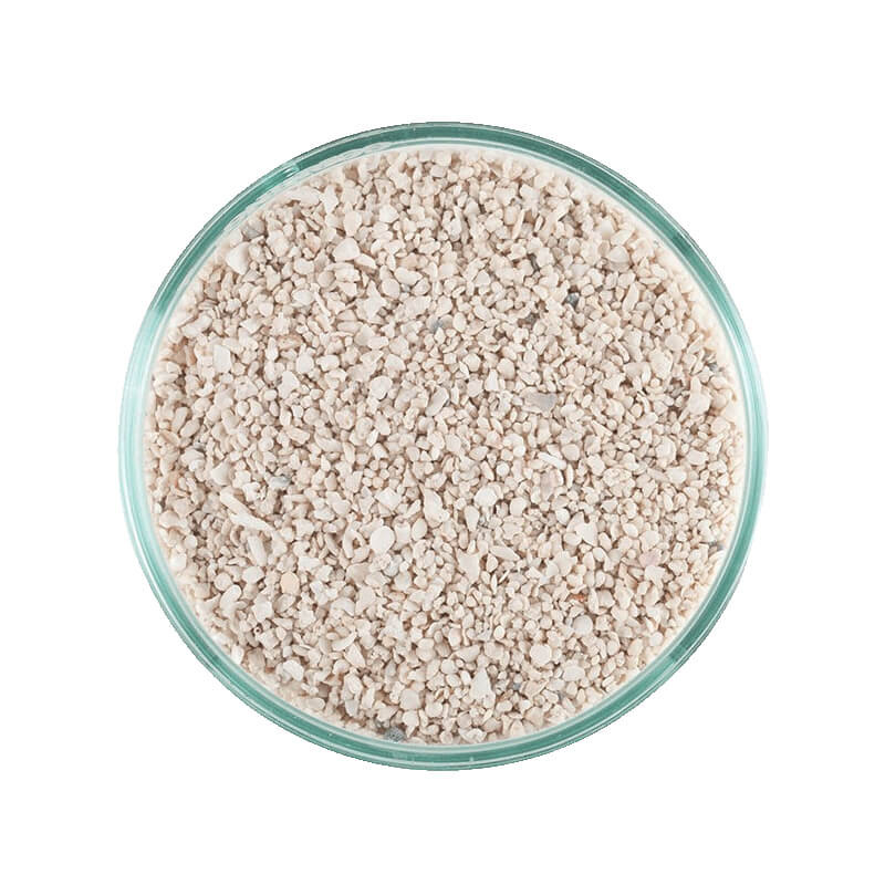 SABLE VIVANT - Caribsea - ocean direct - special grade - 9,07kg (taille moyenne)