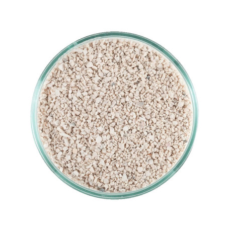 SABLE VIVANT - Caribsea - ocean direct - special grade - 9,07kg (taille moyenne)