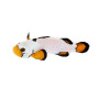 Amphiprion flurry - élevage FR (ACDP) - 3-4 cm