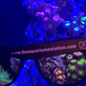 D&D - Lunettes de soleil filtre orange pour regarder les coraux