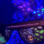 D&D - Lunettes de soleil filtre orange pour regarder les coraux