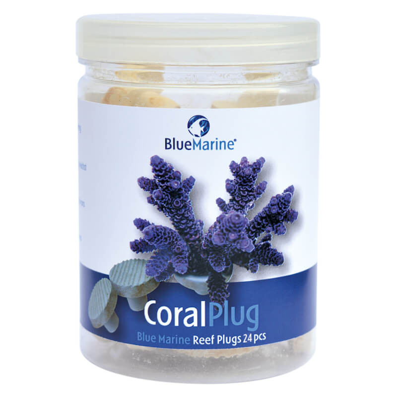 BLUE MARINE Coral plug - 24 pcs