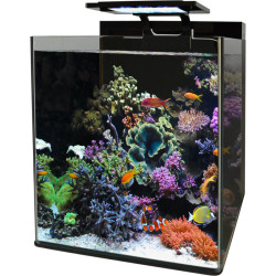 Aquarium Complet - BLUE MARINE - Reef 90