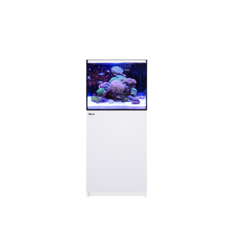 RED SEA - Reefer 170 G - LIVRAISON GRATUITE