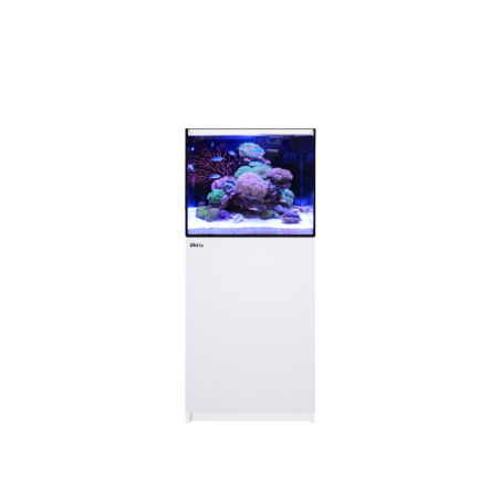 RED SEA - Reefer 170 G - LIVRAISON GRATUITE