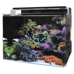 Aquarium Complet - BLUE MARINE - Reef 120