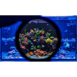 LENTILLE PHOTOGRAPHIQUE - D&D - Coral Colour XL