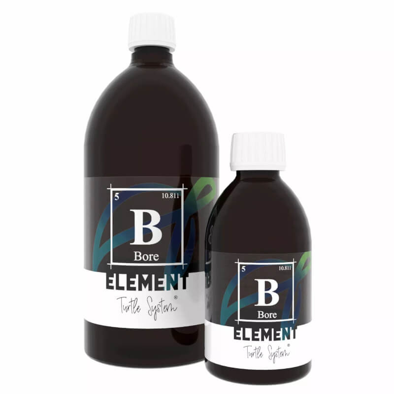 TURTLE SYSTEM - Element B / Bore - 1000ml