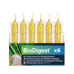 PRODIBIO BioDigest 6 ampoules – Bactéries aquarium eau douce et marin