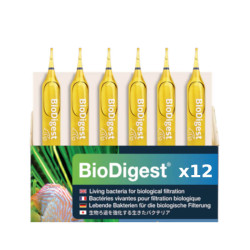 PRODIBIO BioDigest 12 ampoules – Bactéries aquarium eau douce et marin