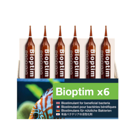 PRODIBIO Bioptim 6 ampoules – Bioactivateur bactéries aquarium eau douce et marin
