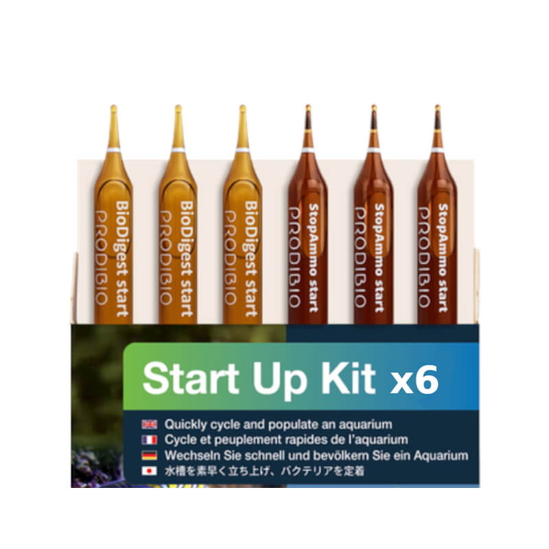 PRODIBIO Start Up 6 ampoules – Démarrage aquarium bactéries + Stop Ammo