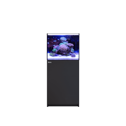 RED SEA - Reefer 170 G3 - Noir - LIVRAISON GRATUITE (copie)