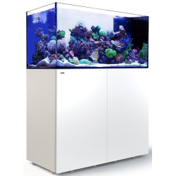 RED SEA - Reefer peninsula 500 G3 - LIVRAISON GRATUITE*