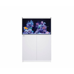 RED SEA - Reefer 250 G3
