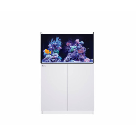 RED SEA - Reefer 250 G3