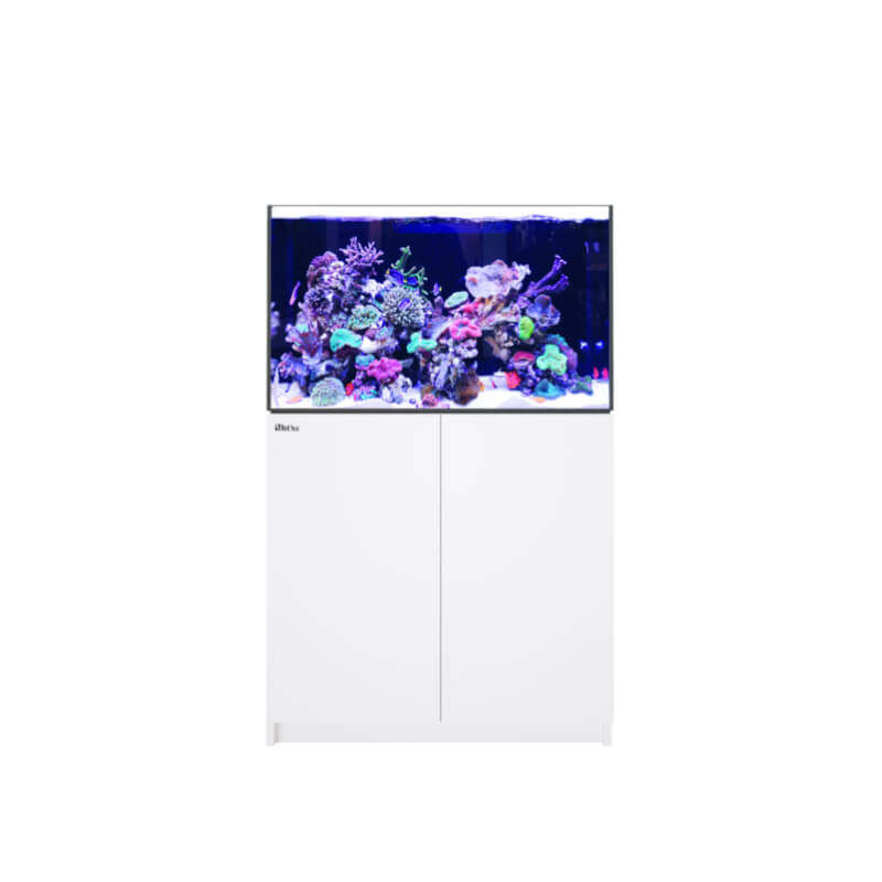 RED SEA - Reefer 350 G3