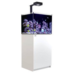 RED SEA - Reefer MAX - 170 G3 -
